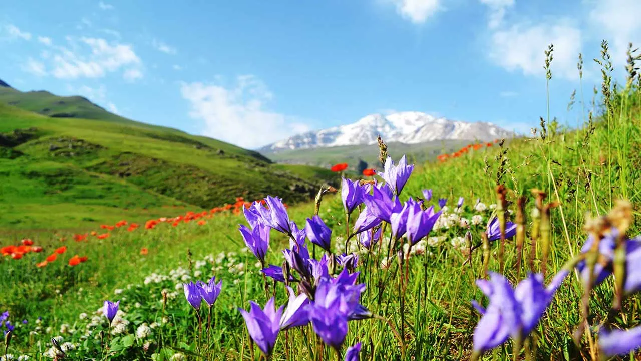 جاذبه های گردشگری اردبیل