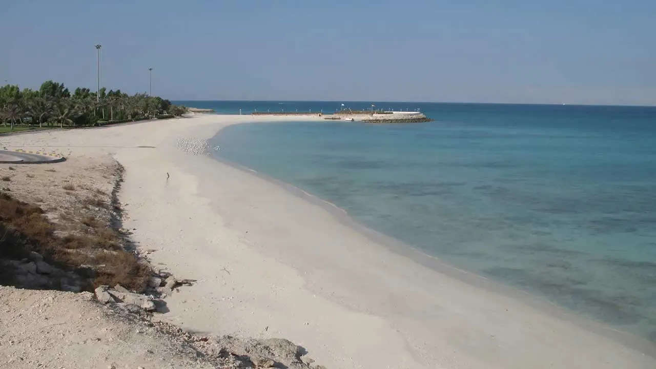 ساحل مرجان کیش