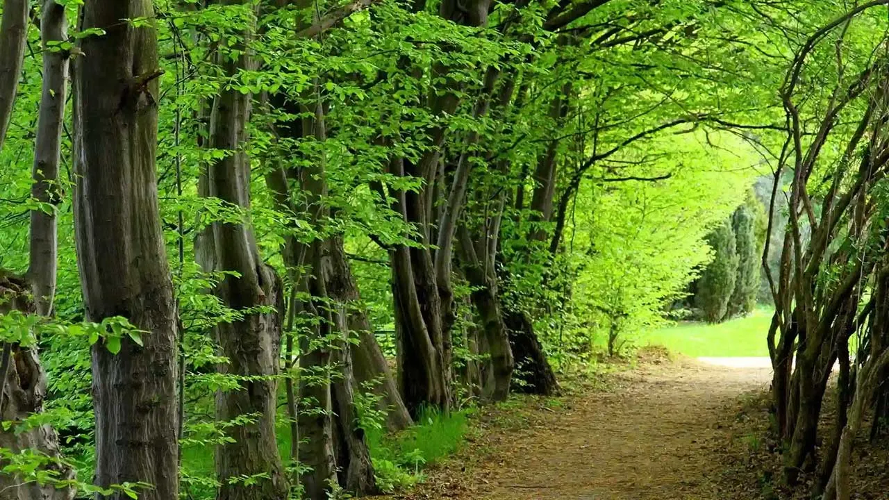 جاذبه های گردشگری مازندران