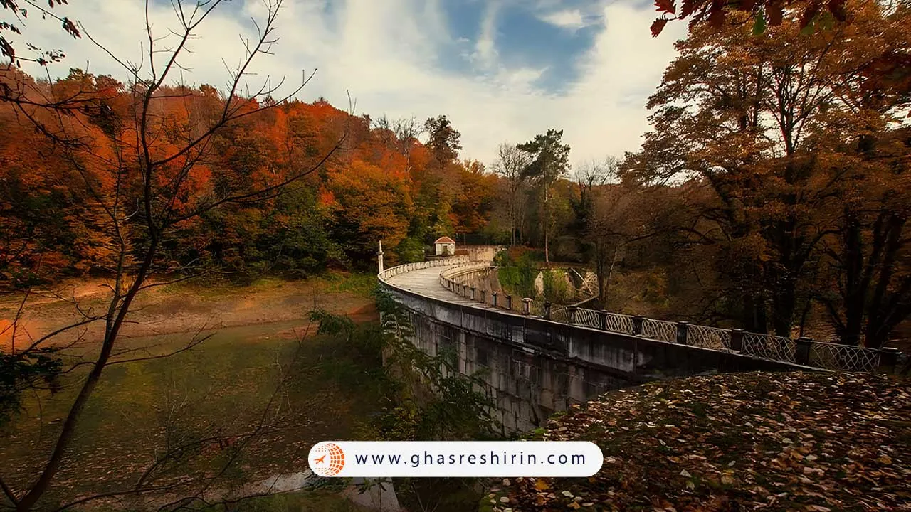 جنگل بلگراد کجاست؟
