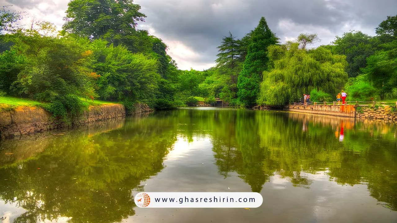 عکس جنگل بلگراد استانبول