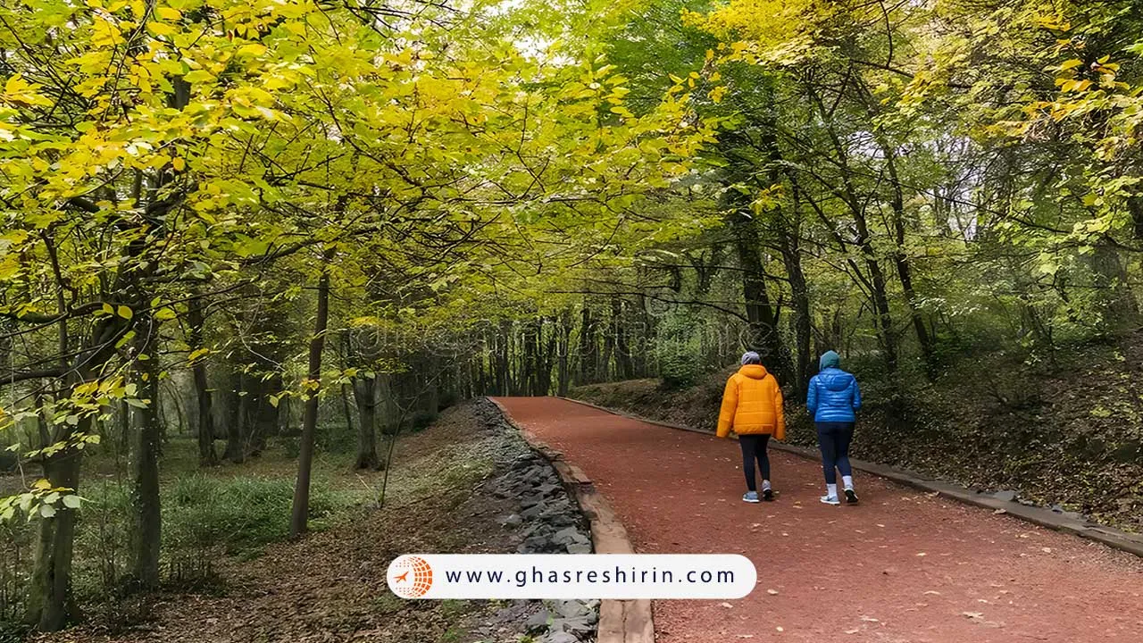 جنگل بلگراد در استانبول ترکیه