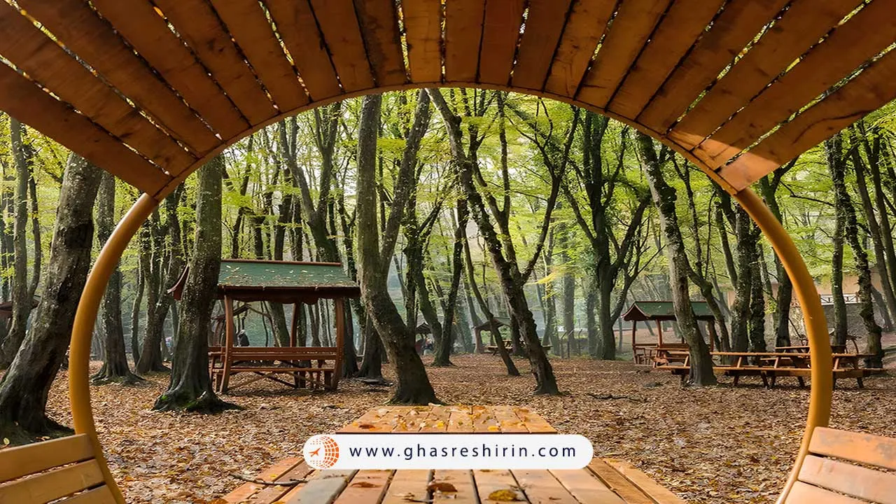 جنگل بلگراد در ترکیه