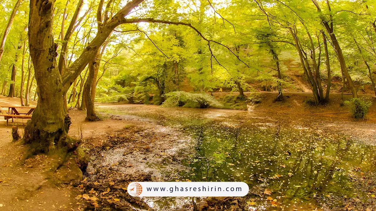 بازدید از جنگل بلگراد استانبول ترکیه