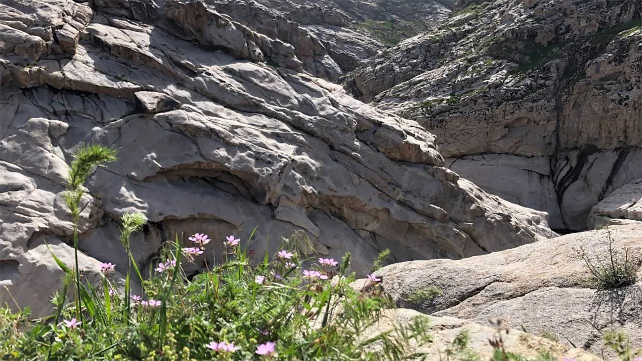 پارک طبیعی هفت حوض مشهد