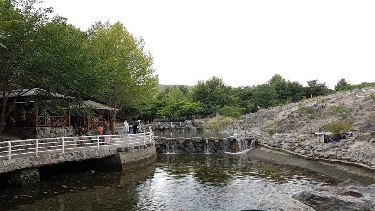 پدیده شاندیز مشهد