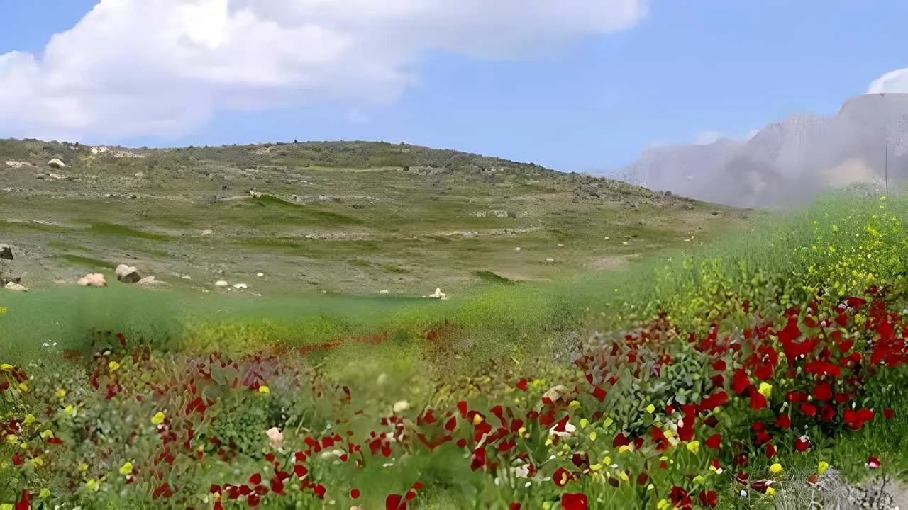 دشت ارژن شکارگاه پادشاهان هخامنشی