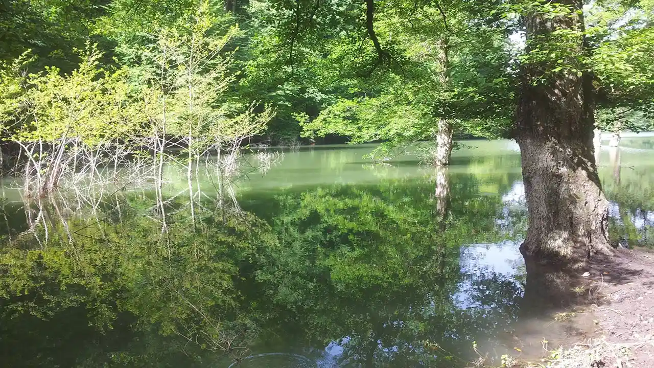 میانشه، دریاچه‌ای زیبا در مازندران