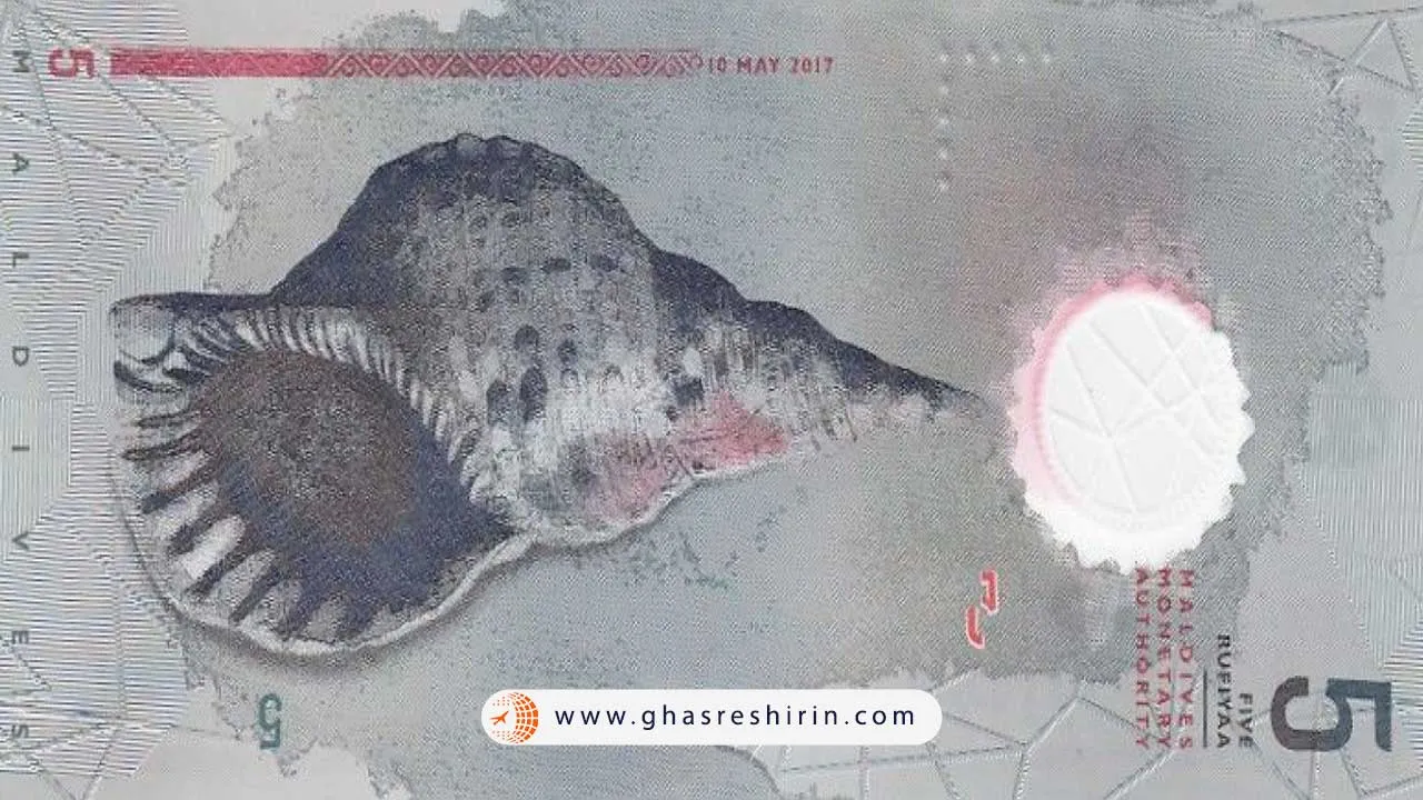 عکس صدف روی روفیه مالدیو