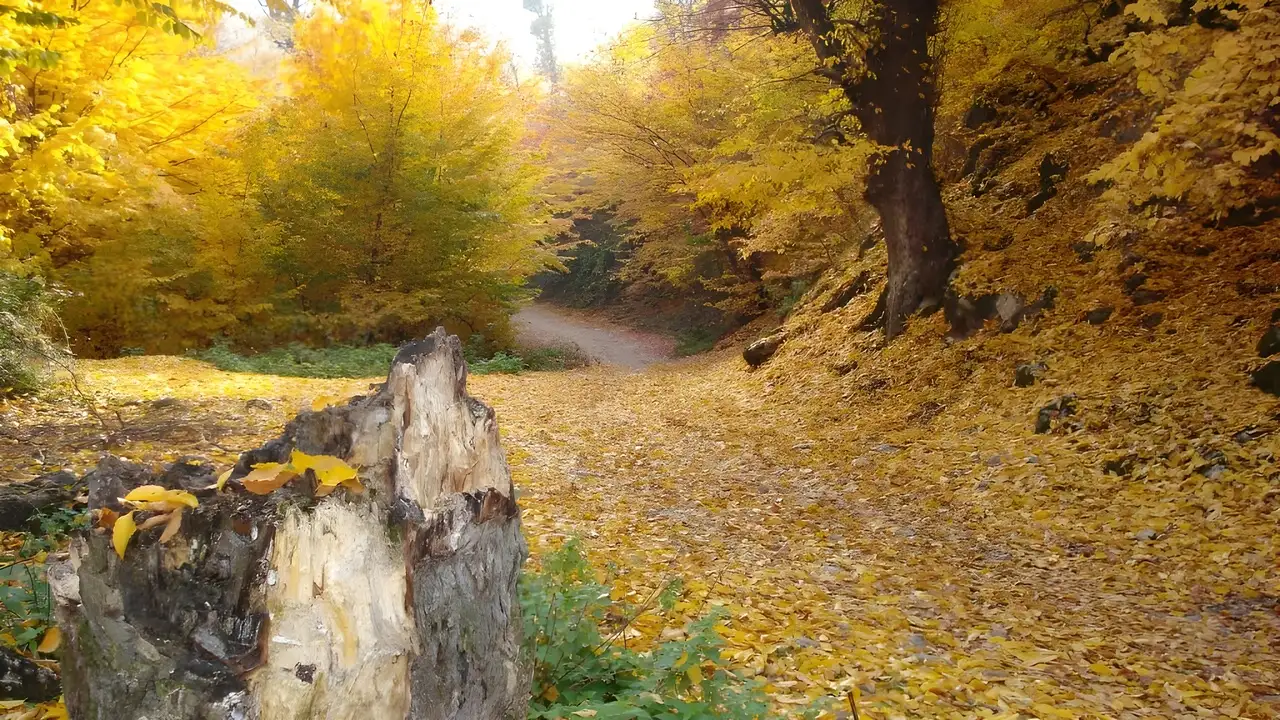ایرانگردی در آذر ماه
