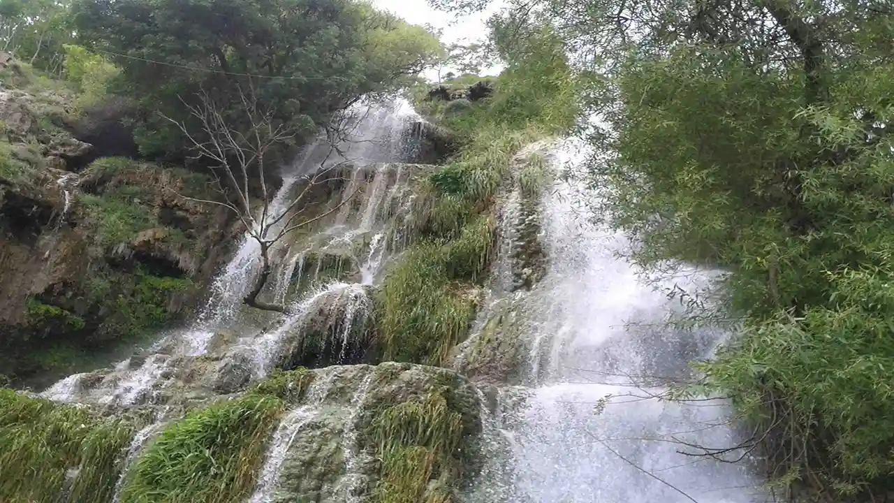 نیاسر کاشان