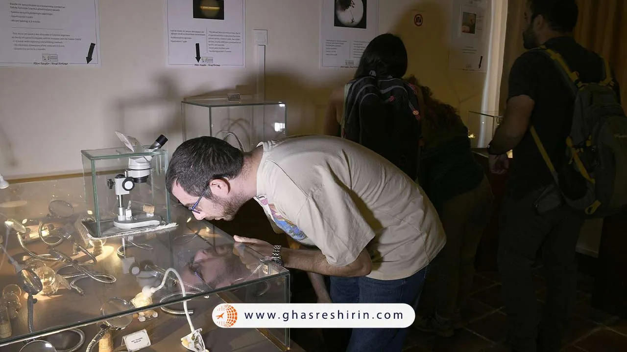 موزه میکرو مینیاتور کوش آداسی