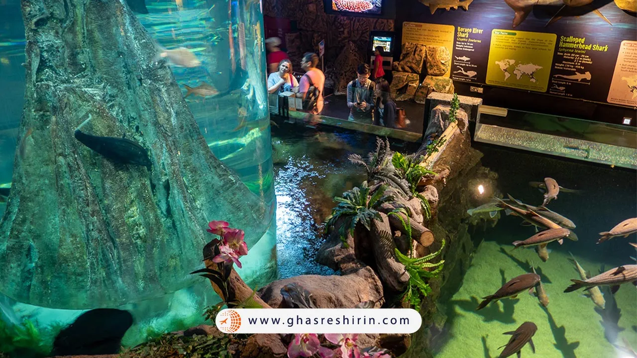 اکواریوم برج دو قولو