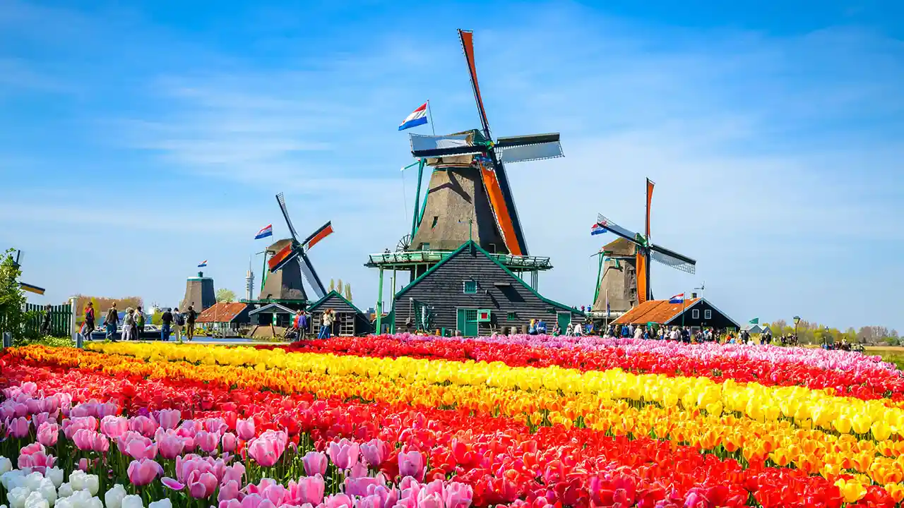 هر آنچه که باید درباره هلند بدانید