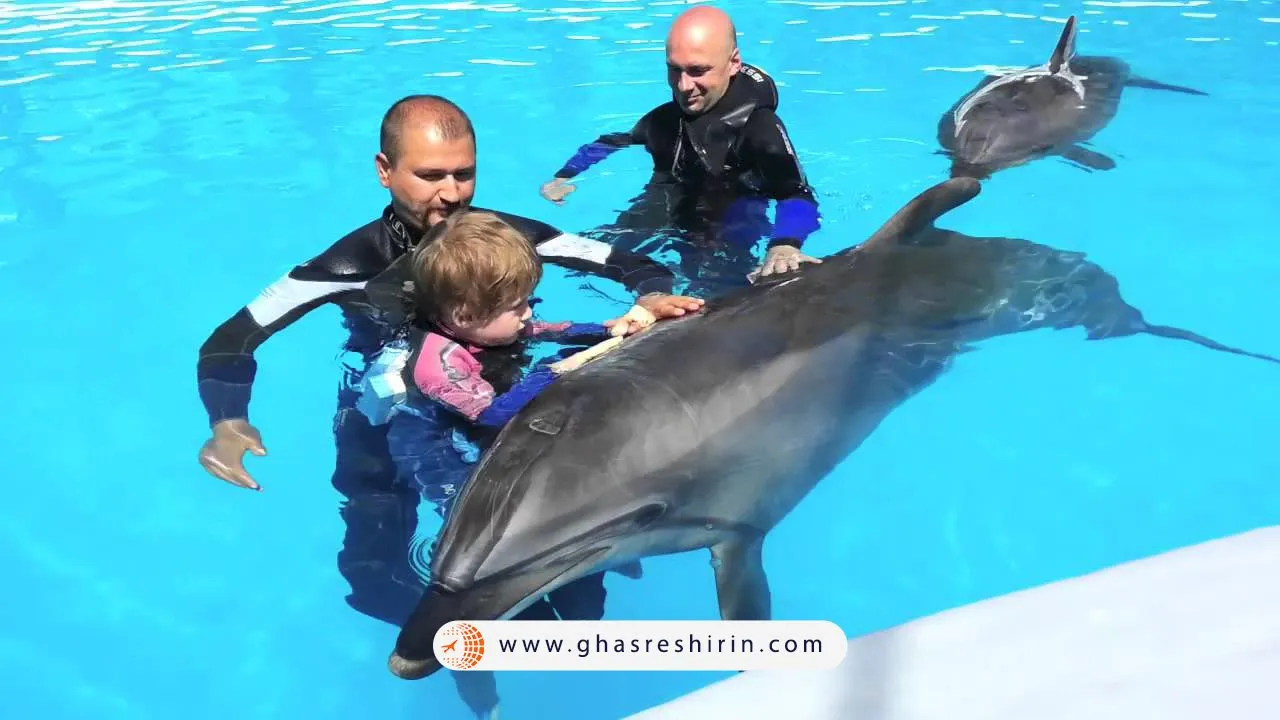 سرزمین دلفین ها آنتالیا