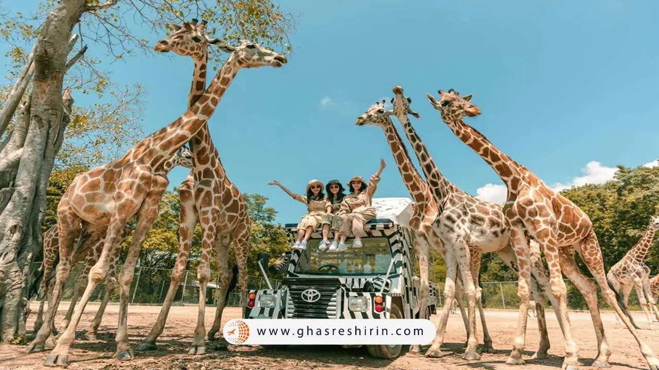 باغ وحش سافاری بانکوک