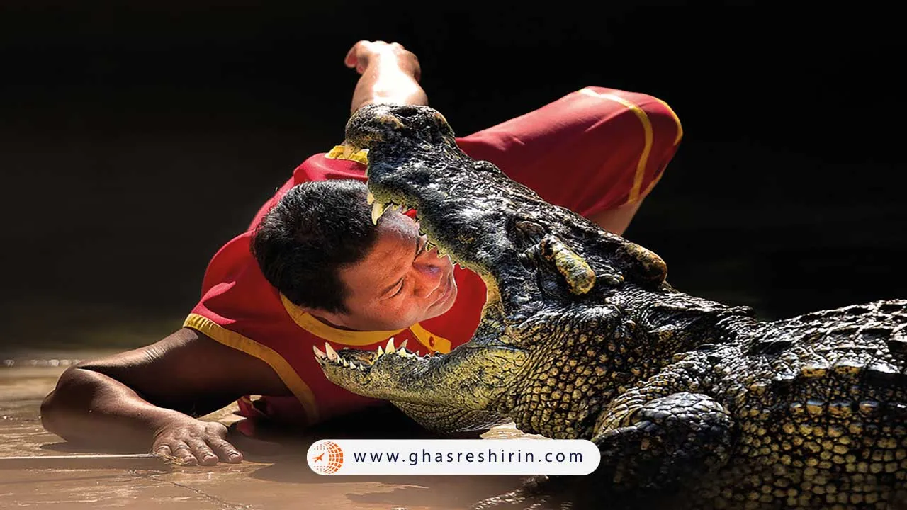 مزرعه و باغ وحش تمساحها در بانکوک