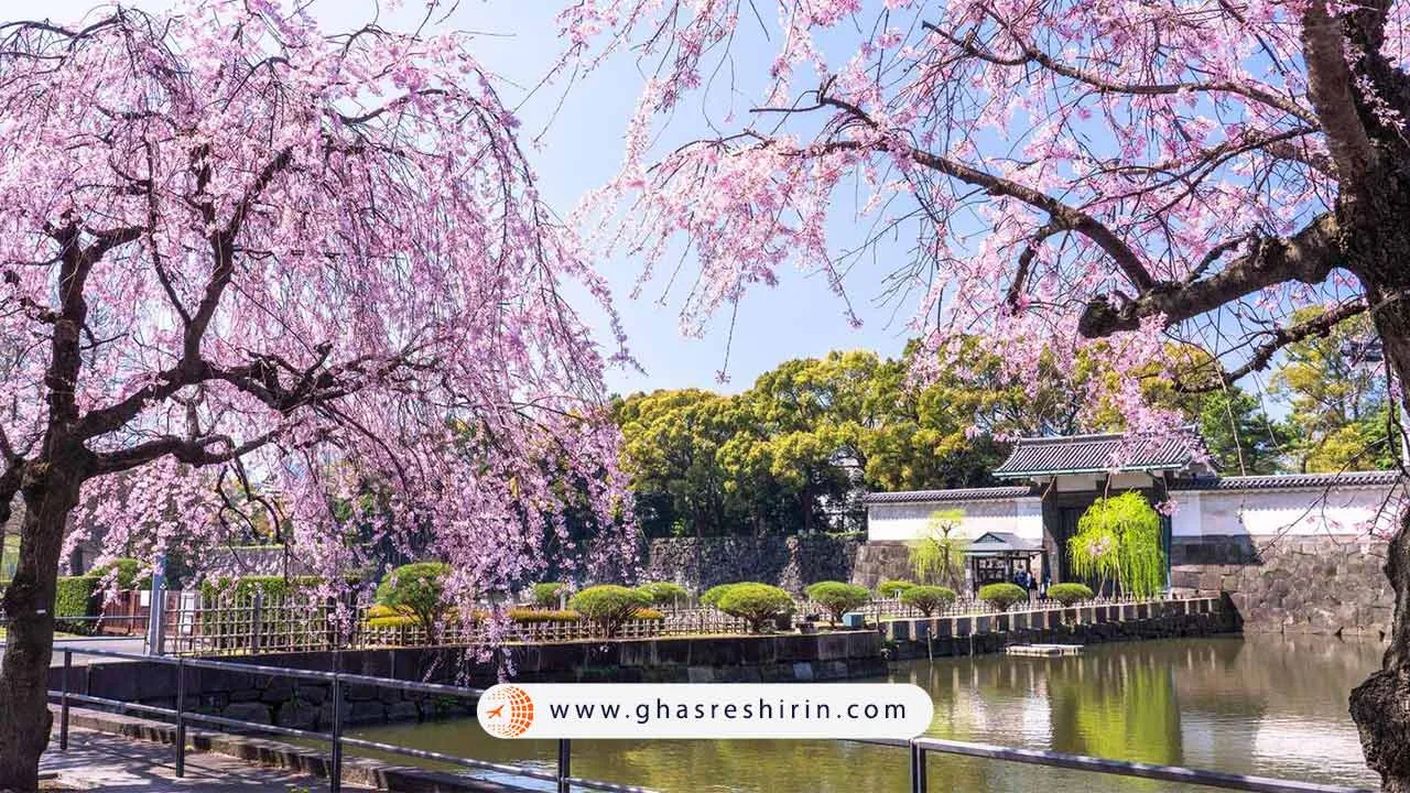 باغ شرقی کاخ امپراتوری توکیو