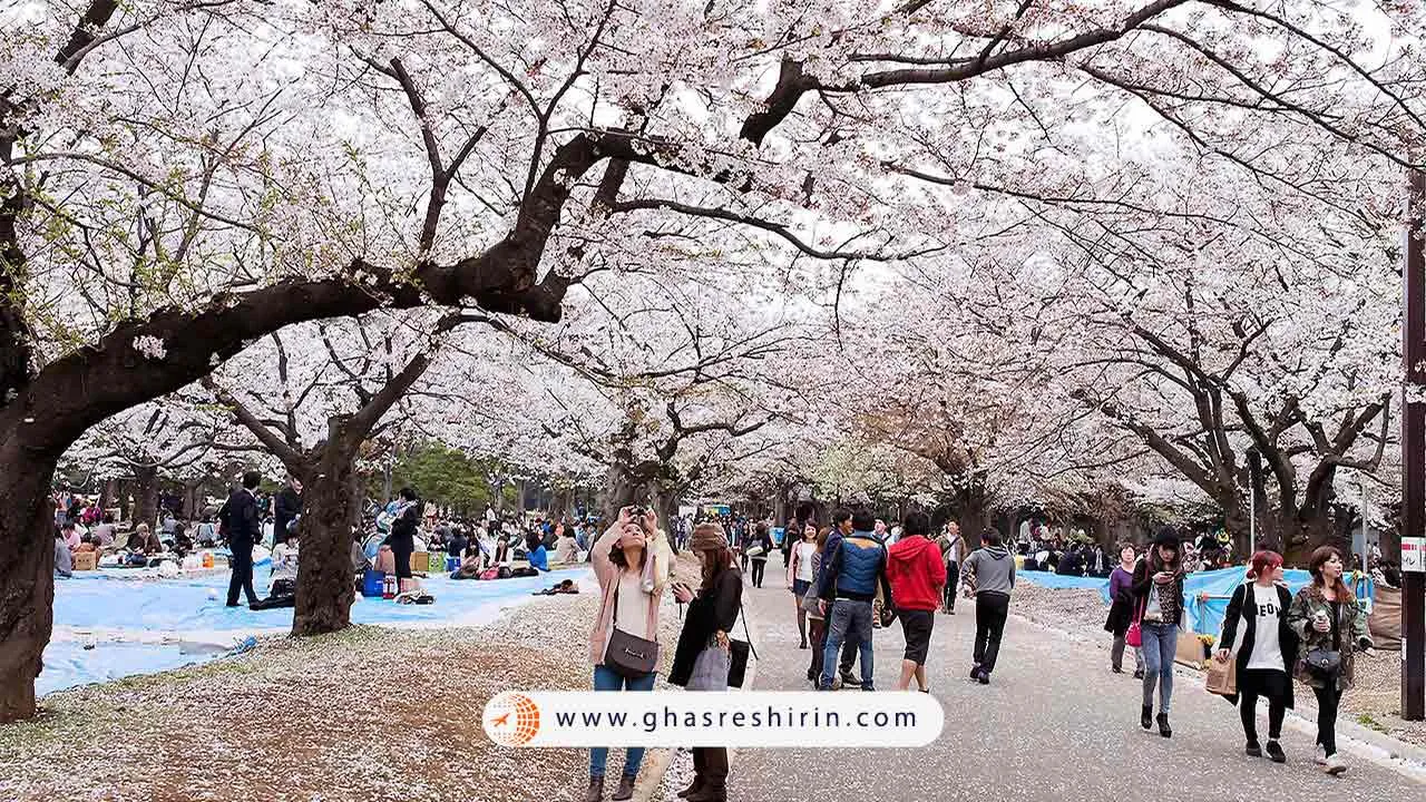 پارک کیتانومارو