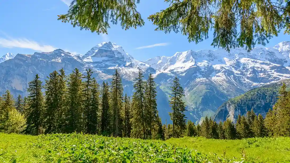 پارک ملی سوئیس