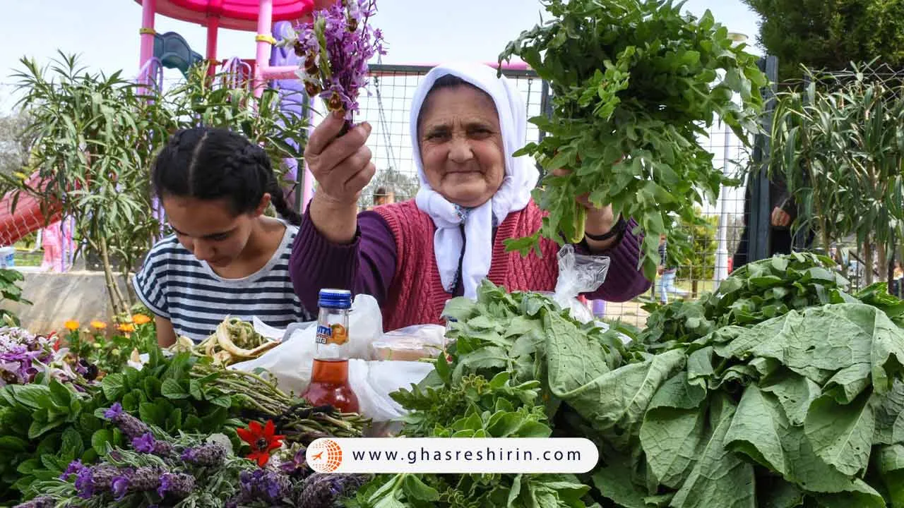 جشنواره گیاهان دارویی آلاچاتی