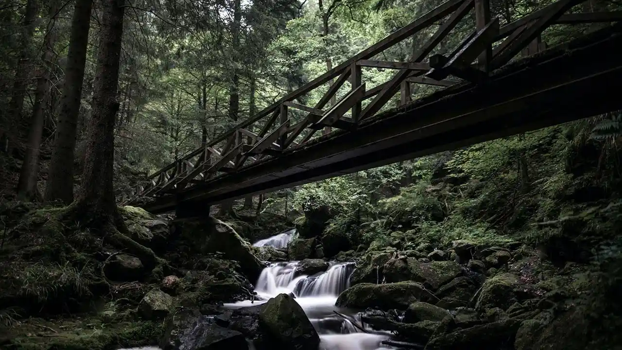 جنگل سیاه آلمان