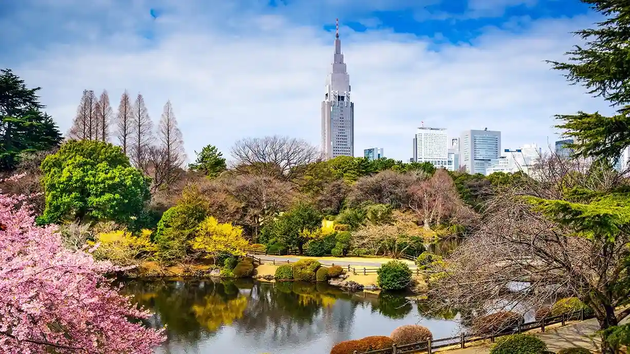 باغ ملی شینجوکو