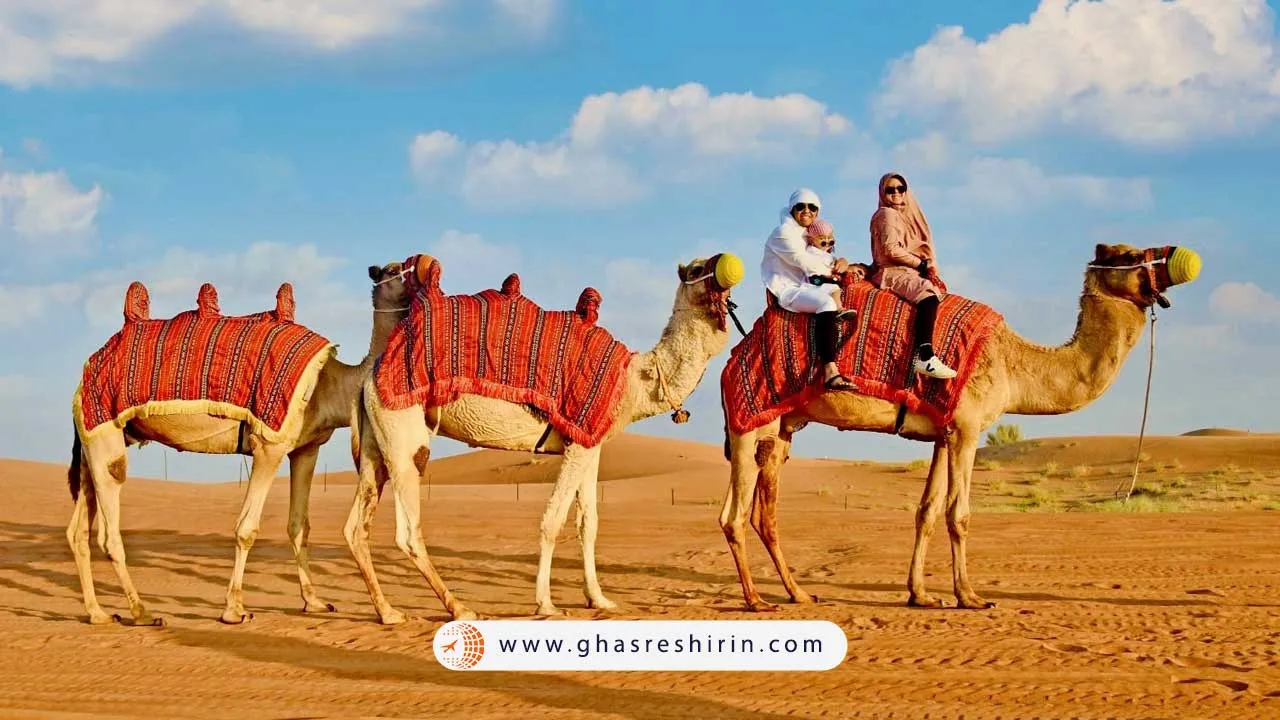 تور شتر سواری در دبی