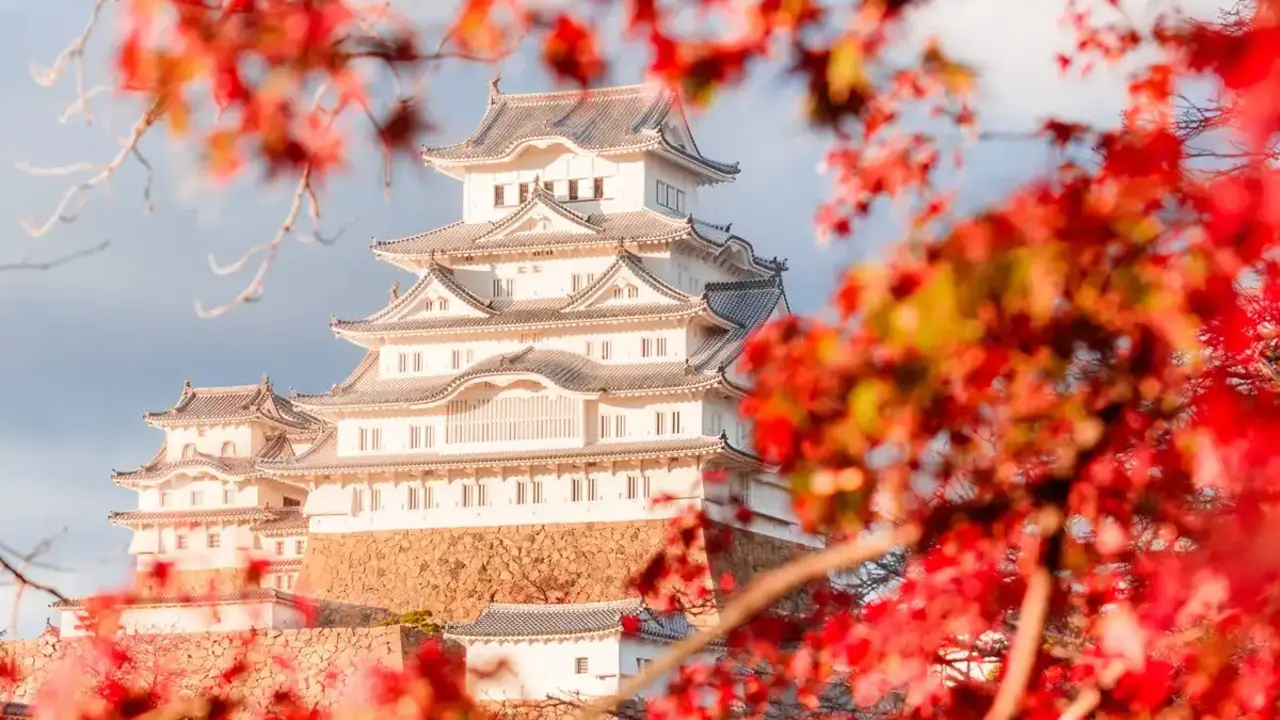 بهترین تفریحات توکیو