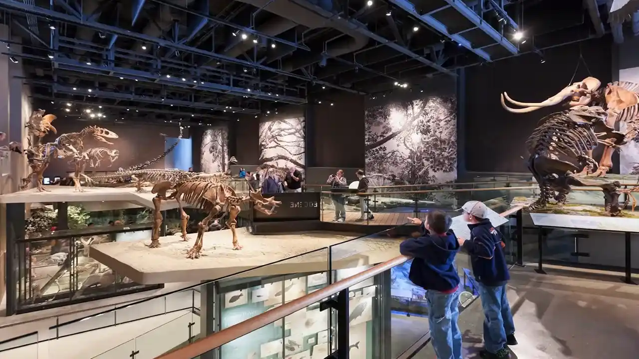 بهترین موزه های شانگهای