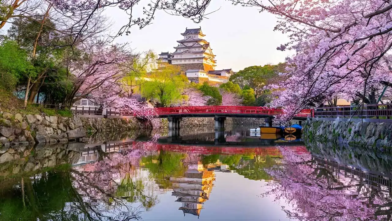 در اوزاکا چه کارهایی باید انجام دهیم؟