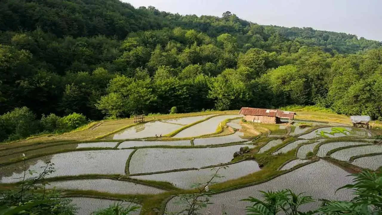 بهترین جاهای دیدنی شمال ایران برای تعطیلات نوروز