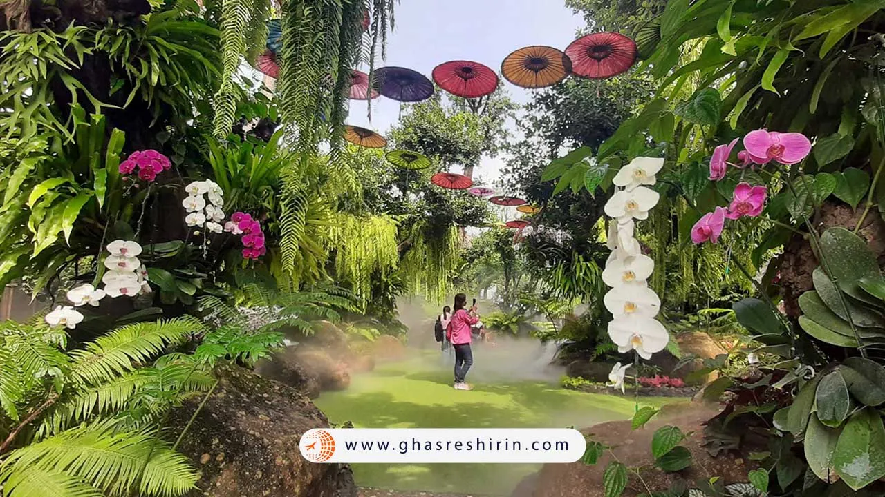 کافه لالیتا چیانگ رای در تایلند