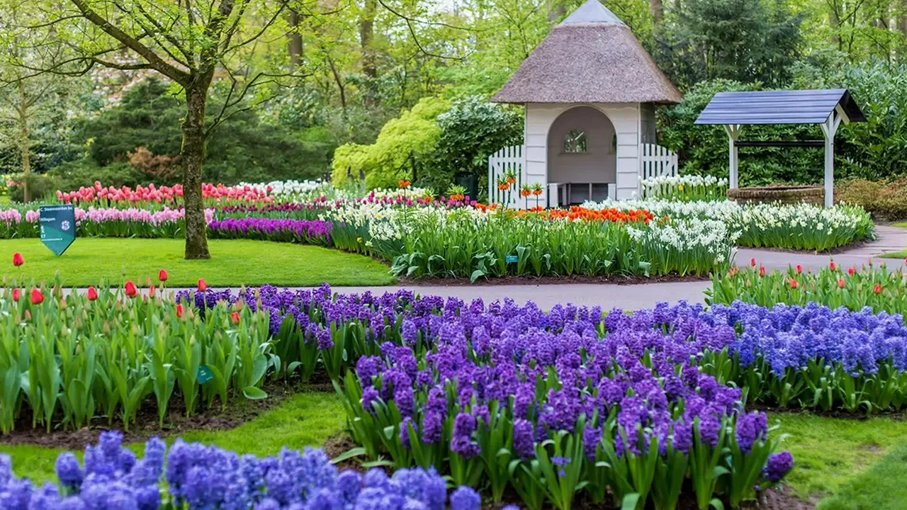 باغ-گل-کوکنهوف-هلند