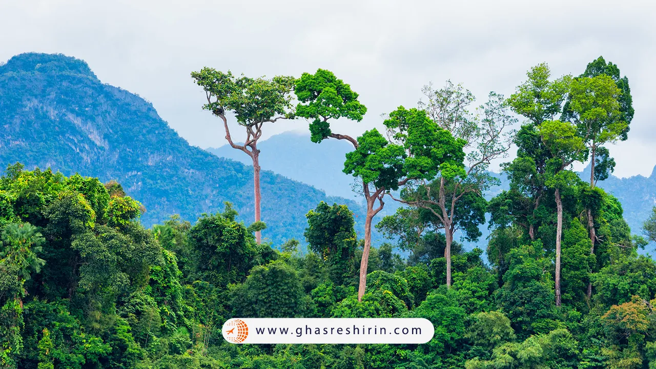 آب و هوای جنگل آمازون