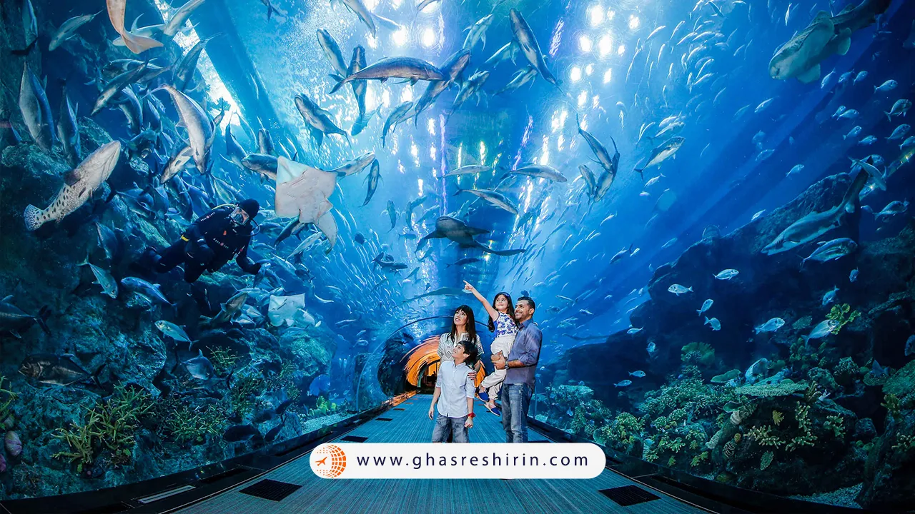 آکواریوم دبی