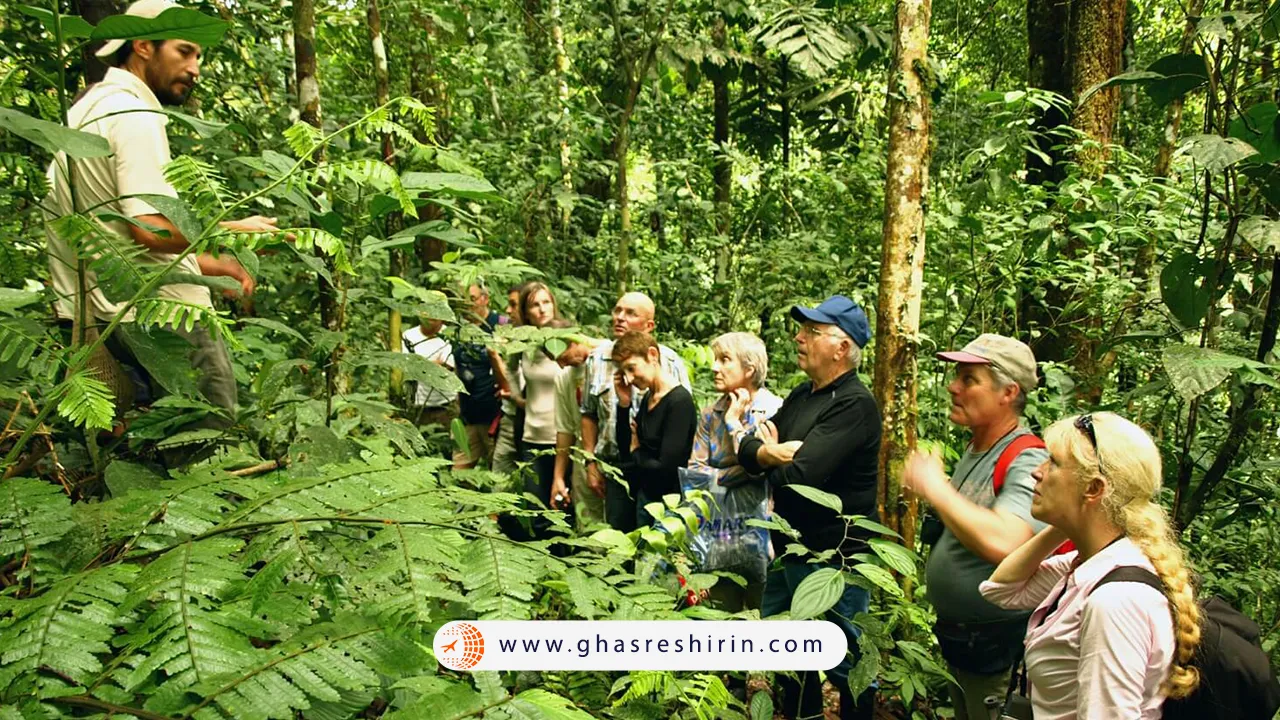 بازدید از جنگل آمازون