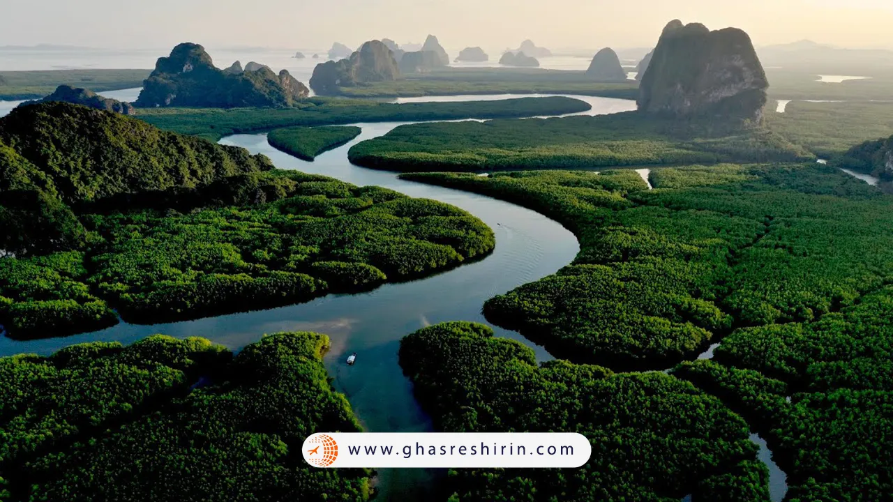 رودخانه آمازون