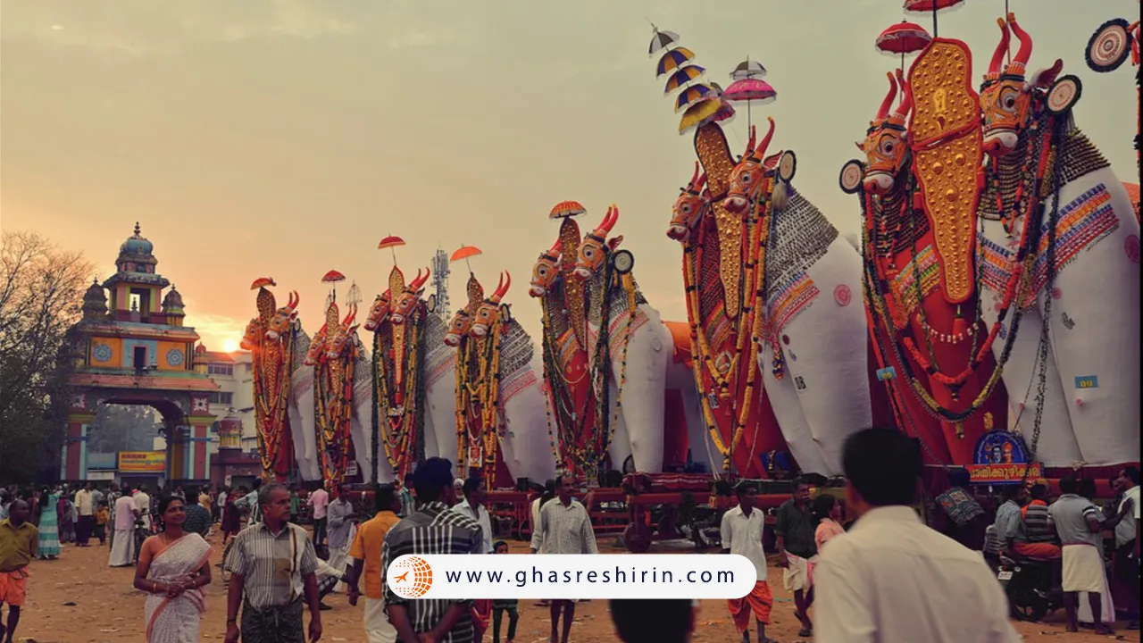 فستیوال گاوها در هند