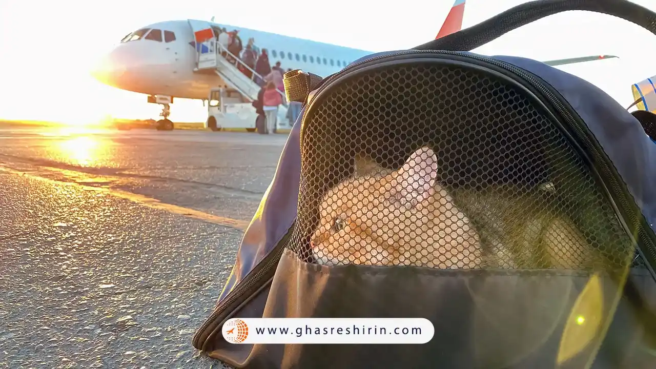 حمل پرنده با هواپیما داخلی