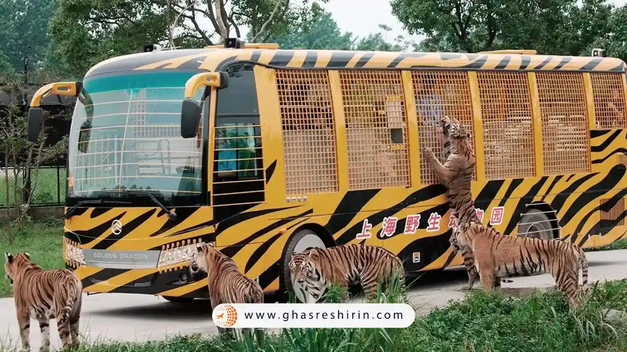 سافاری پارک شنزن