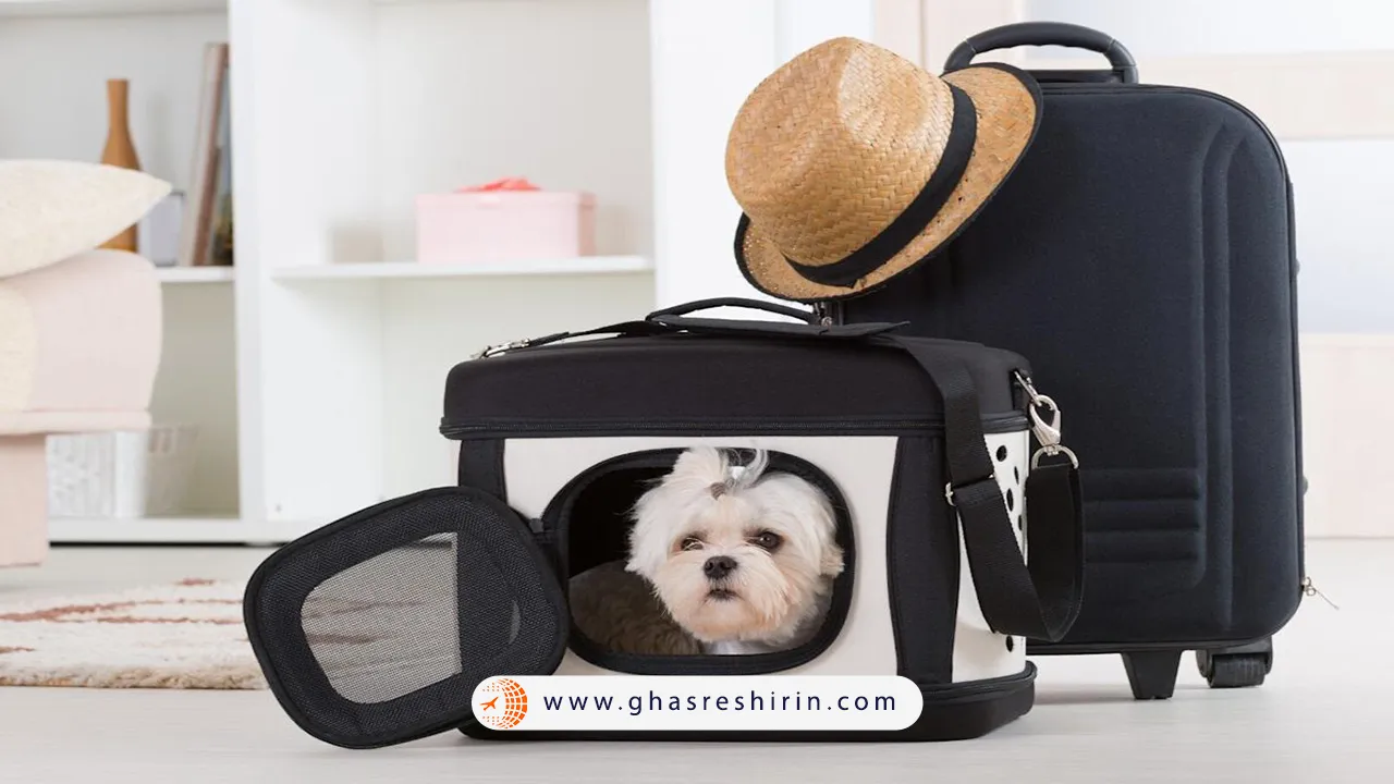 هزینه حمل سگ با هواپیما داخلی