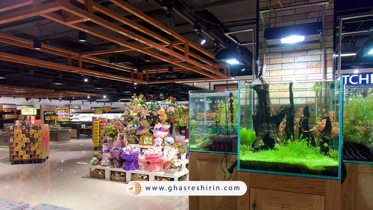 راهنمای خرید از سیلک مارکت پکن