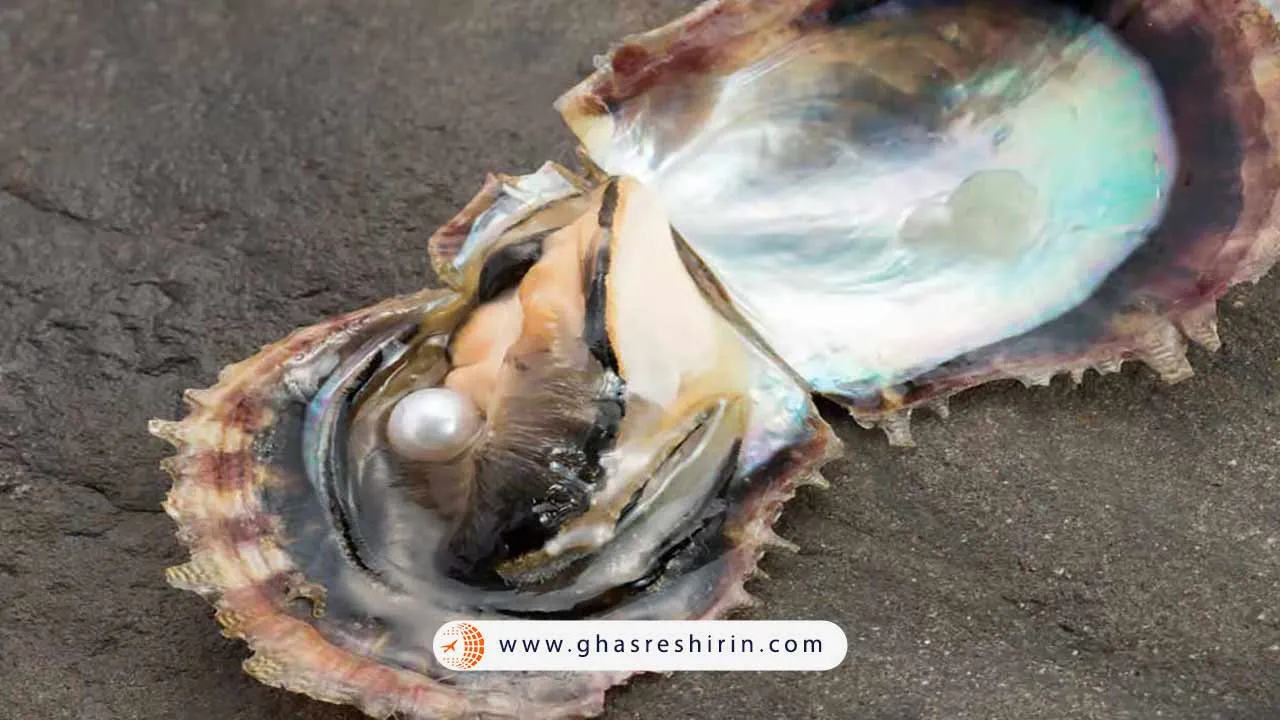 کارگاه پرورش مروارید چین کجاست