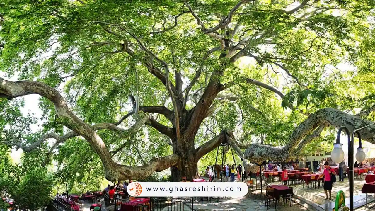 بورسا سرسبزترین شهر ترکیه