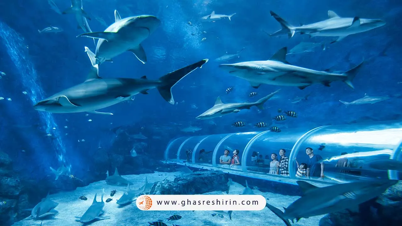 آکواریوم اس. ای. آ (S. E. A. Sentosa Aquarium)