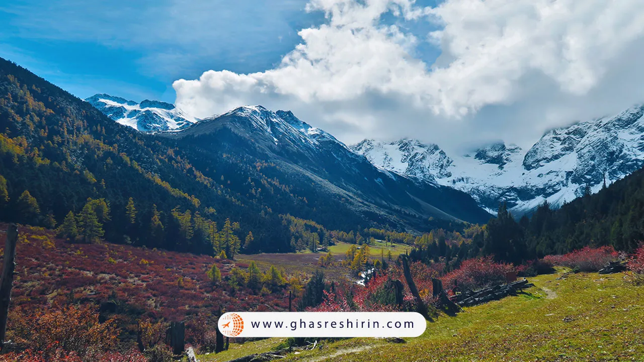 جنگل کوه برفی بایما در یون‌نان (Baima Snow Mountain Forest in Yunnan)