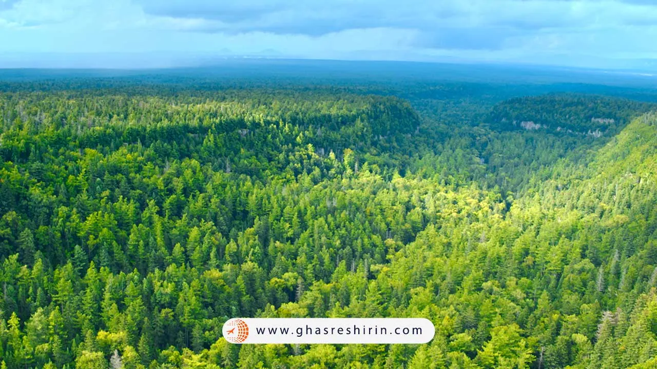 جنگل‌ های مختلط چانگ‌ بای (Changbai Mixed Forest)