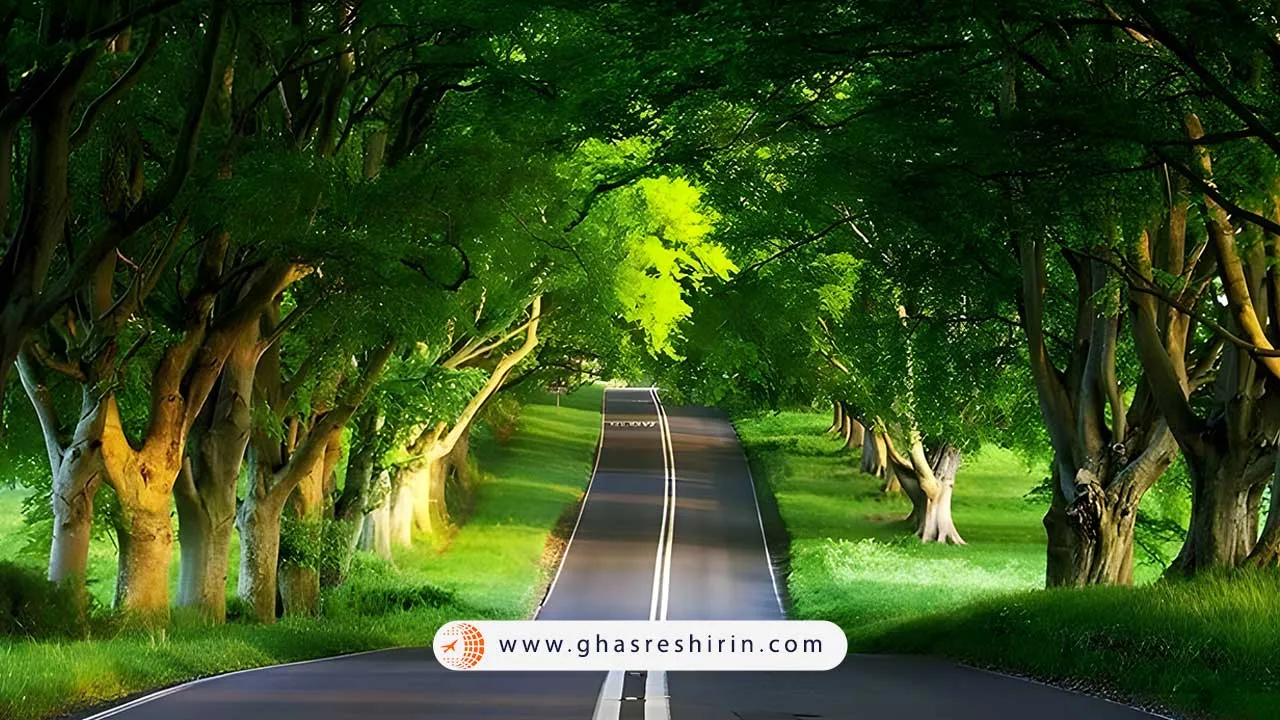 جنگل گیسوم برای سفر در نوروز