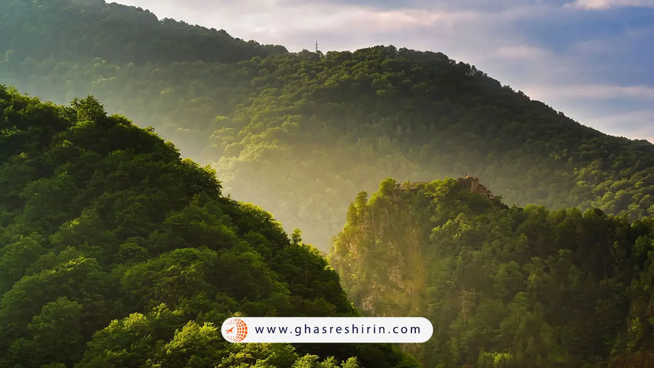 جنگل صنوبر نینگ‌ چی (Nyingchi Spruce Forest)